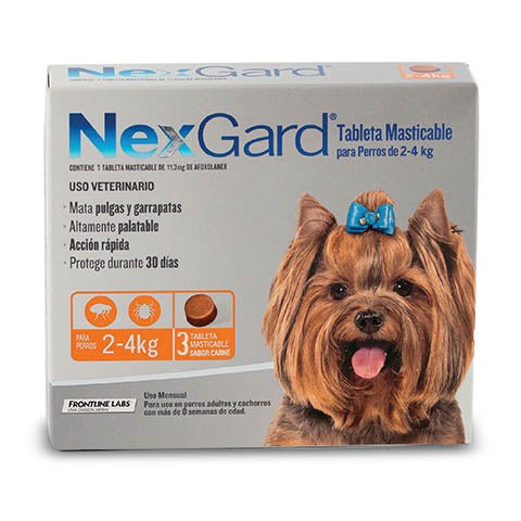 NexGard Perro 2 a 4 kg - 1 comprimido